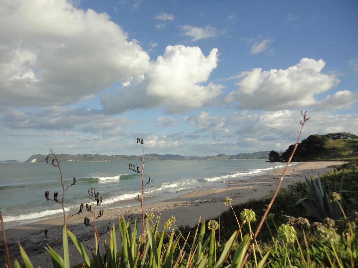 Ocean View B&B Whitianga Dış mekan fotoğraf