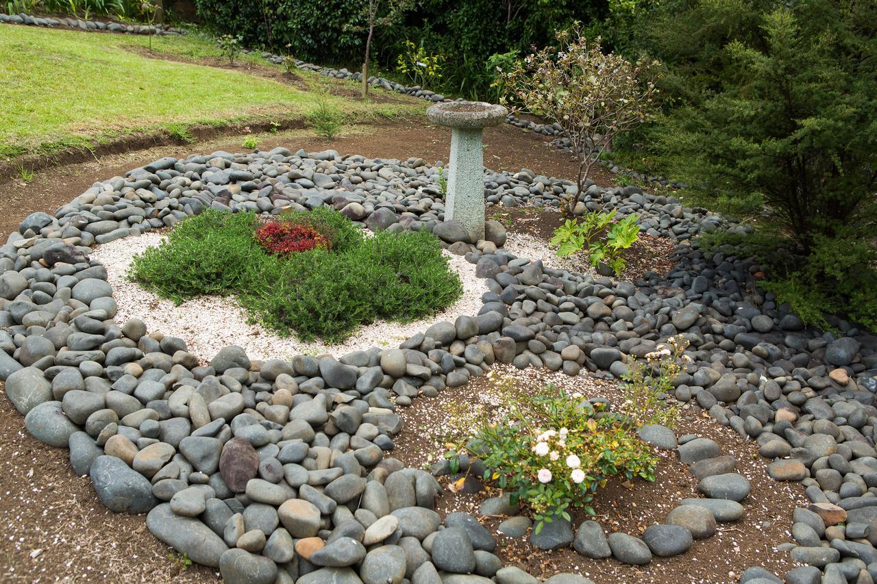 Ocean View B&B Whitianga Dış mekan fotoğraf