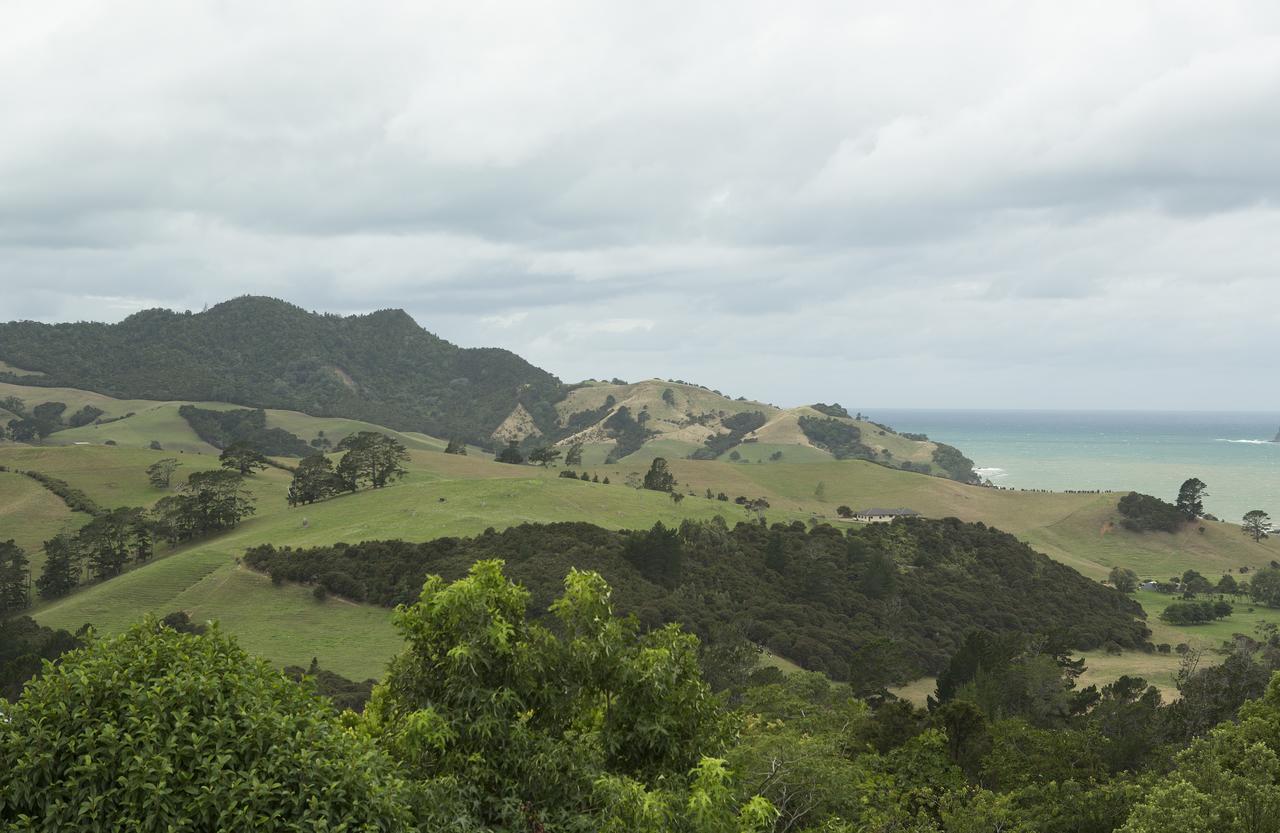 Ocean View B&B Whitianga Dış mekan fotoğraf
