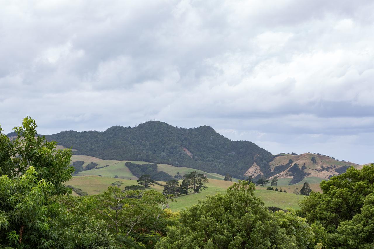 Ocean View B&B Whitianga Dış mekan fotoğraf